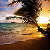 Hawaiian Breeze wax tart